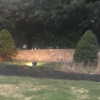 A serene evening view of a landscaped area with trees and a stone wall illuminated by soft lighting.
