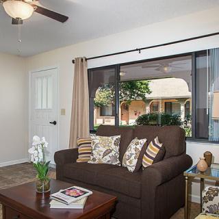 A cozy living room with a brown sofa, decorative cushions, and a coffee table in front of a large window.