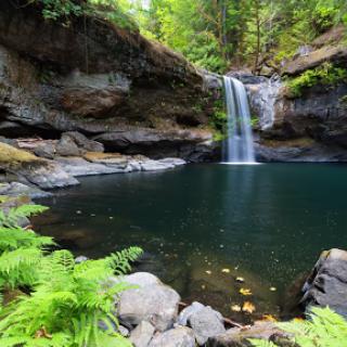 A serene waterfall cascading into a clear pool surrounded by lush greenery.