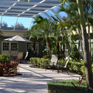 A serene outdoor garden space featuring palm trees and lounge chairs, perfect for relaxation.
