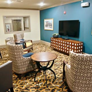 A cozy and elegantly decorated living room with patterned chairs, a television, and a stylish carpet.