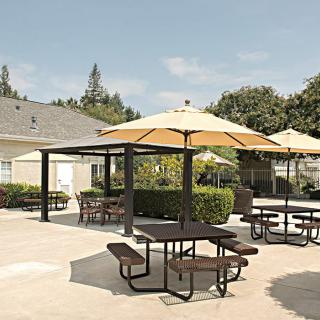 A sunny outdoor patio area with multiple picnic tables and yellow umbrellas.