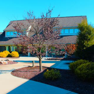 A beautifully landscaped house with a serene pathway and a blossoming tree.
