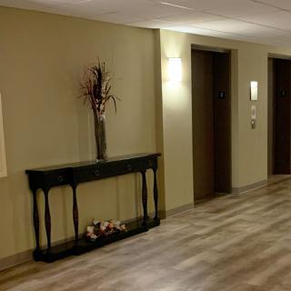 A neatly decorated hallway with elevators and a console table.