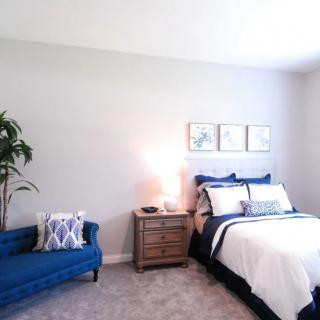 A modern and minimalist bedroom featuring a blue sofa, cozy bed, nightstand, and decorative indoor plant.