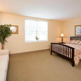 A cozy bedroom with a large bed, sofa, indoor plant, and a window letting in natural light.