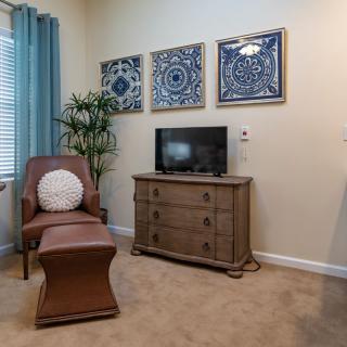 A cozy living room corner with a chair and ottoman facing a TV on a wooden stand, adorned with blue patterned wall art and a potted plant.