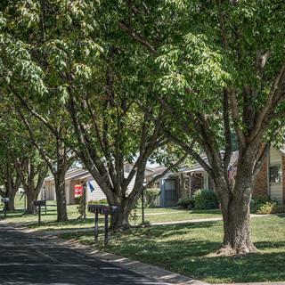 A peaceful suburban street lined with trees and houses.