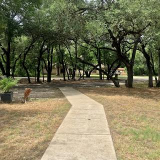 A serene pathway winding through a lush, tree-filled park.