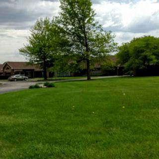 A serene suburban landscape featuring lush green grass and a tall tree under a cloudy sky.