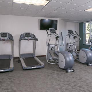 A fitness room with treadmills and elliptical machines.