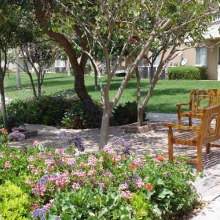 A peaceful garden scene with a wooden bench, surrounded by colorful flowers and trees.