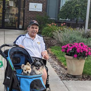 A person relaxing outdoors with two dogs in a stroller, surrounded by beautiful flowers.