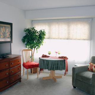 A cozy living room with a small table, chairs, a potted plant, and a television.
