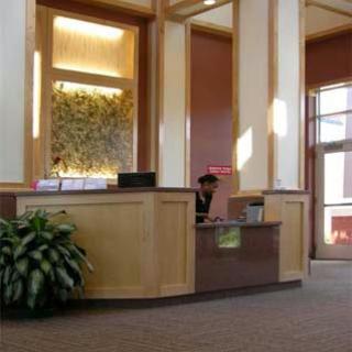 A welcoming reception area featuring modern design elements and a plant.