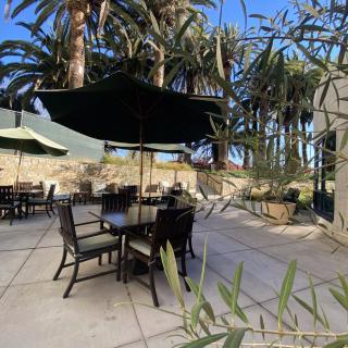 An outdoor patio area with tables and chairs under large umbrellas, surrounded by palm trees on a sunny day.