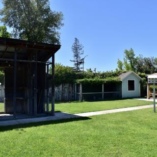 A sunny outdoor yard with a grass lawn, trees, and small structures.