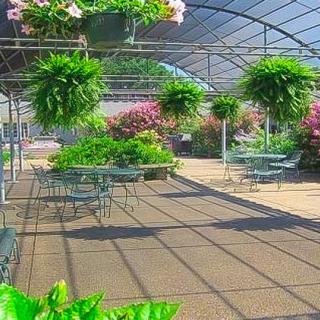 A serene greenhouse with hanging plants and a seating area.