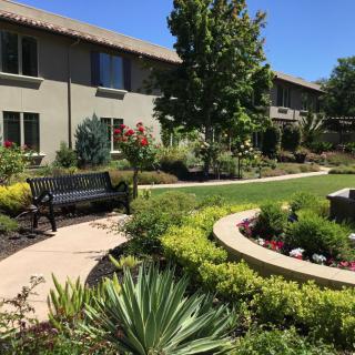 A beautifully landscaped garden with a winding pathway, lush plants, and a bench for relaxation.