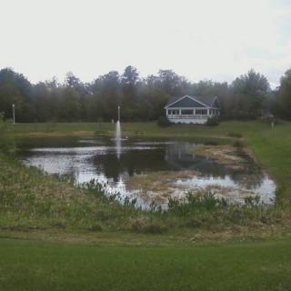 A serene landscape featuring a pond with a fountain, surrounded by lush greenery and a house in the background.