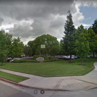 A serene park scene showcasing lush greenery and a cloudy sky.