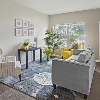 A cozy living room with modern furniture, a large window, and decorative plants.