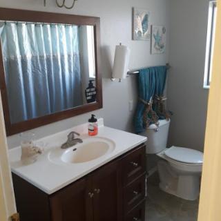 A well-lit bathroom featuring a sink, toilet, and decorative elements.