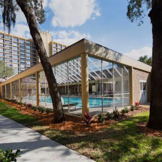 A sunny day at a residential swimming pool surrounded by lush greenery.