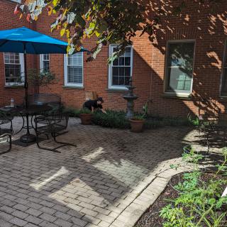 Ashland Terrace