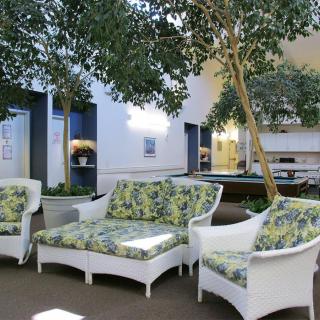 A cozy indoor seating area featuring wicker furniture with green-patterned cushions and tall potted trees.