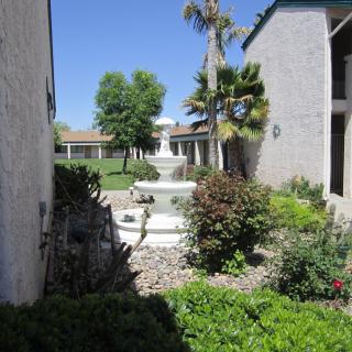 A serene courtyard garden featuring a central fountain surrounded by lush greenery and framed by buildings.