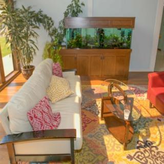 A cozy living room with a sofa, armchair, and a large aquarium, surrounded by plants and decorated with a colorful rug.
