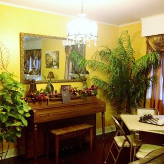 A cozy dining room featuring a piano, lush plants, and a chandelier against vibrant yellow walls.
