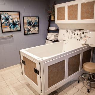 A serene spa therapy room featuring a specialized bathtub for relaxation and therapeutic treatments.