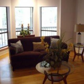 A cozy living room featuring a sofa, coffee table, and large windows with plants.