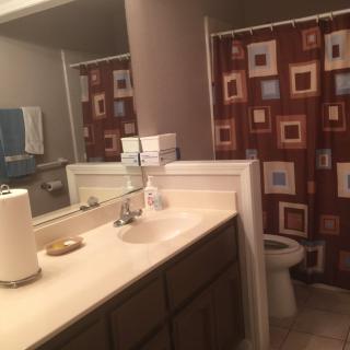 A bathroom featuring a sink and mirror, with a colorful shower curtain in the background.