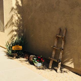 A rustic decorative corner featuring a small wooden ladder and blooming flowers against a sunlit wall.