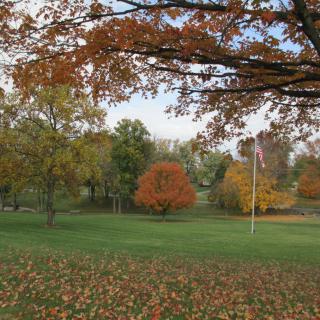A serene park scene with trees displaying vibrant autumn foliage.