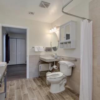 Modern accessible bathroom with wooden flooring and safety features.