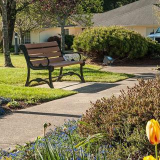 A peaceful neighborhood scene with a bench by the sidewalk, surrounded by greenery and bright sunlight.