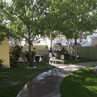 A serene garden with a pathway, surrounded by trees and sunlight.
