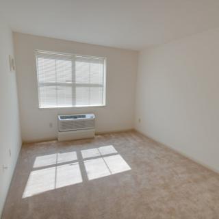 A bright, empty room with a carpeted floor and a large window allowing natural light to pour in.