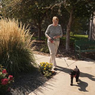 A woman walks her dog in a sunny park.