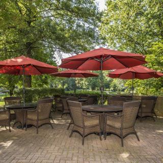 A peaceful outdoor patio area with tables, chairs, and red umbrellas surrounded by trees.