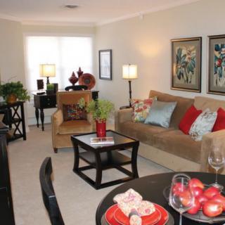 A cozy living room with stylish furniture and vibrant decorations.
