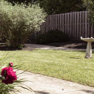 A tranquil garden scene with a birdbath, vibrant flowers, and a wooden fence.