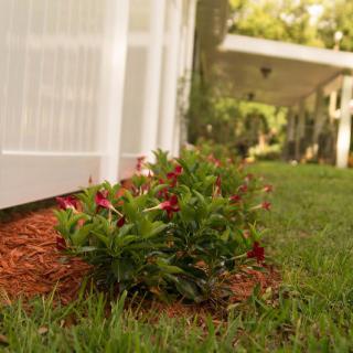 A landscaped garden with vibrant flowers alongside a white fence.
