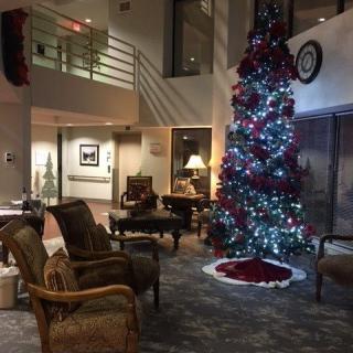 A cozy lounge area adorned with a brightly lit Christmas tree and comfortable seating.