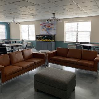 A spacious living area featuring contemporary brown sofas and a coffee table, illuminated by natural light from the windows.