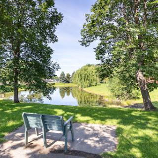 A serene park view featuring a bench by a peaceful pond surrounded by lush greenery.